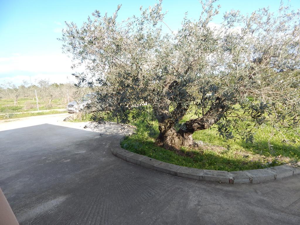 Residenza Rosa Maria Country House Orosei Oda fotoğraf